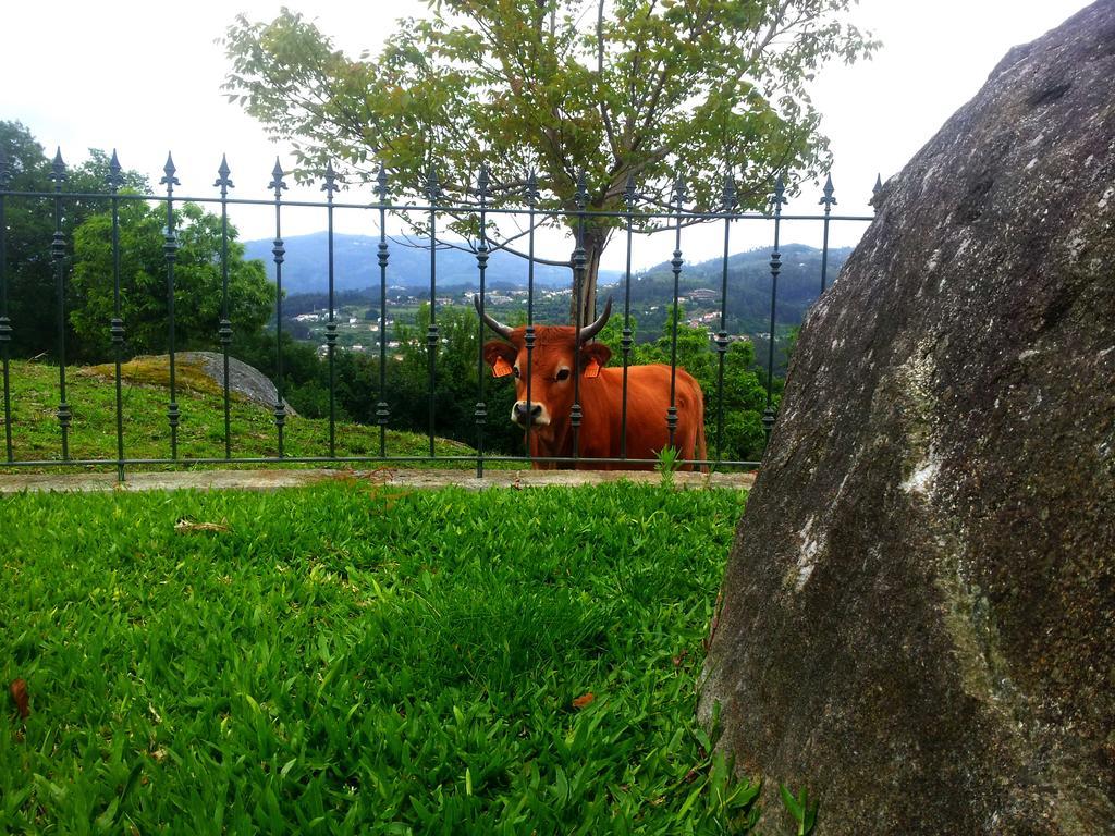 Quinta Da Toural Villa Arcos de Valdevez Buitenkant foto